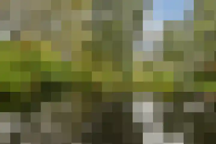 Catsveld 31 Gouda thumbnail 28