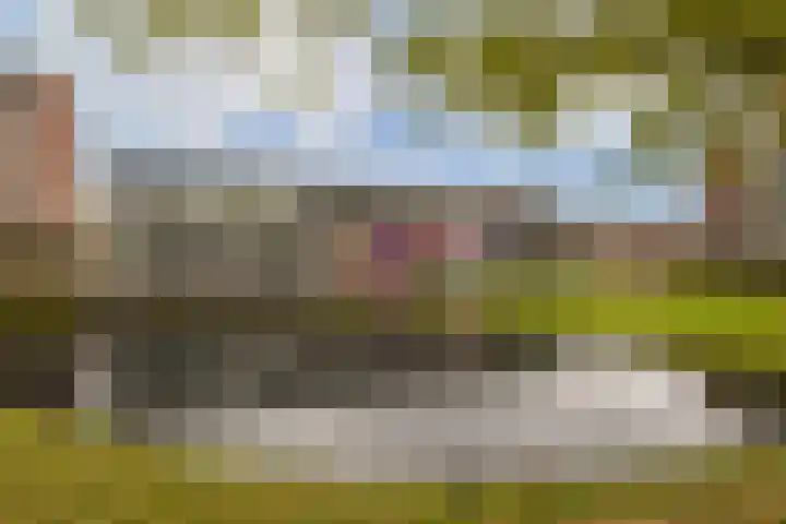 Catsveld 31 Gouda thumbnail 29