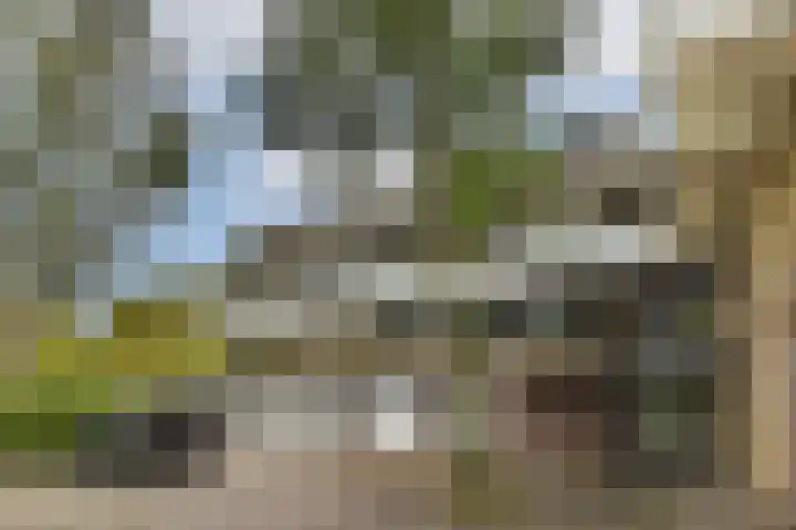 Catsveld 31 Gouda thumbnail 5
