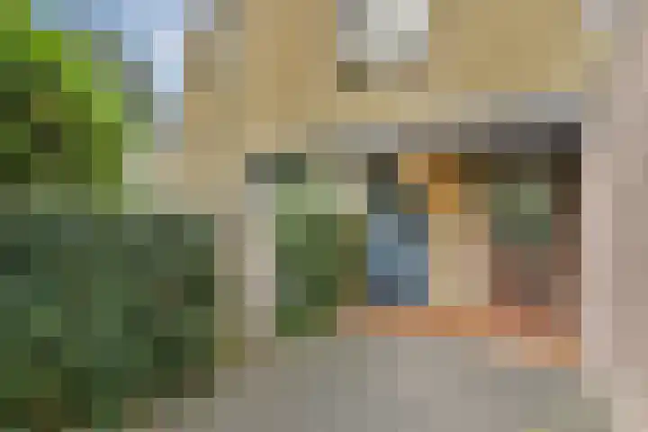 Catsveld 31 Gouda thumbnail 6