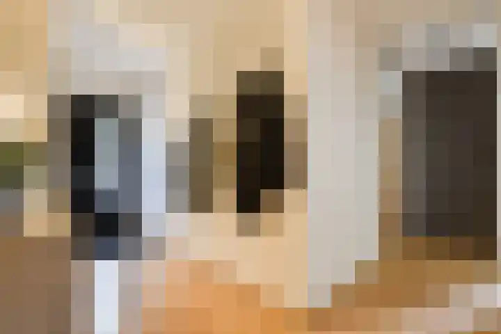 Catsveld 31 Gouda thumbnail 7