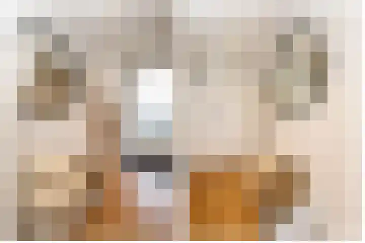 Catsveld 45 Gouda thumbnail 10