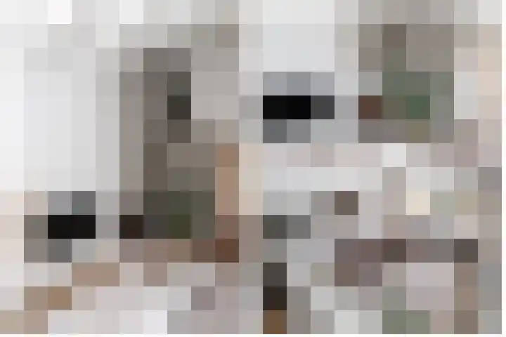 Catsveld 45 Gouda thumbnail 15
