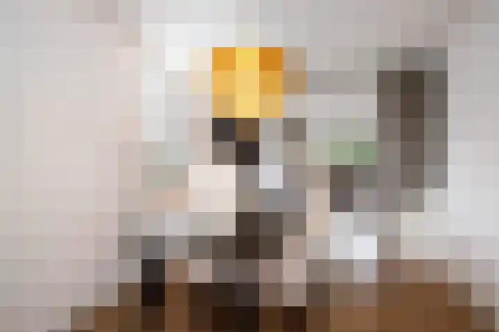 Catsveld 45 Gouda thumbnail 17