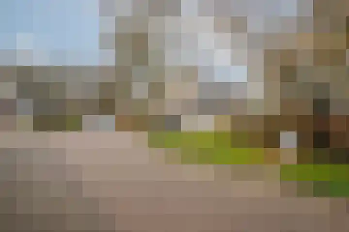 Catsveld 45 Gouda thumbnail 31