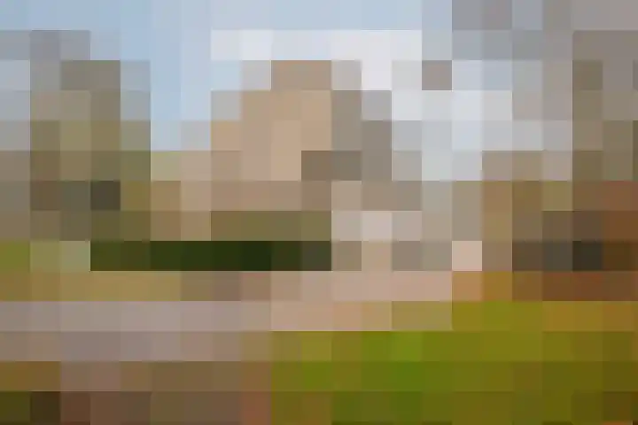 Catsveld 45 Gouda thumbnail 33