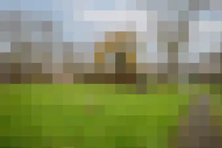 Catsveld 45 Gouda thumbnail 34