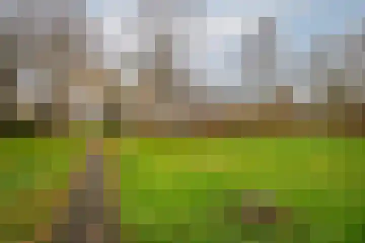 Catsveld 45 Gouda thumbnail 35
