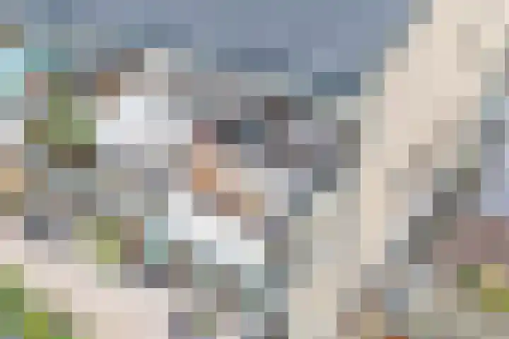 Catsveld 45 Gouda thumbnail 37