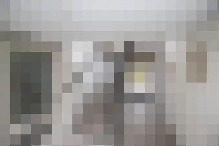 Catsveld 45 Gouda thumbnail 5