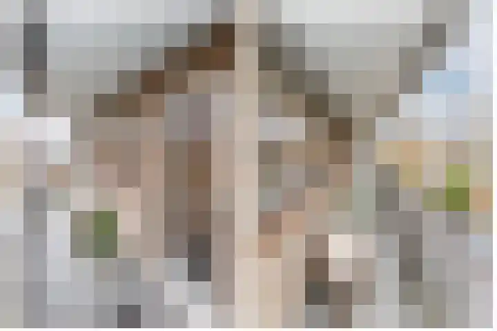 Catsveld 45 Gouda thumbnail 8
