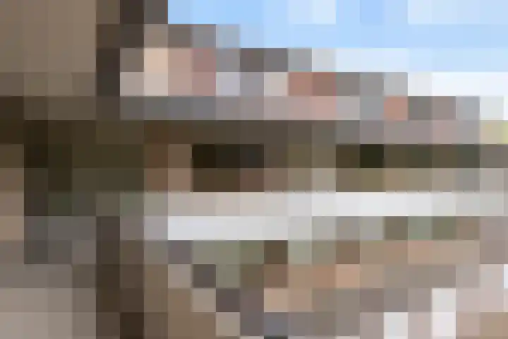 Catsveld 53 Gouda thumbnail 10