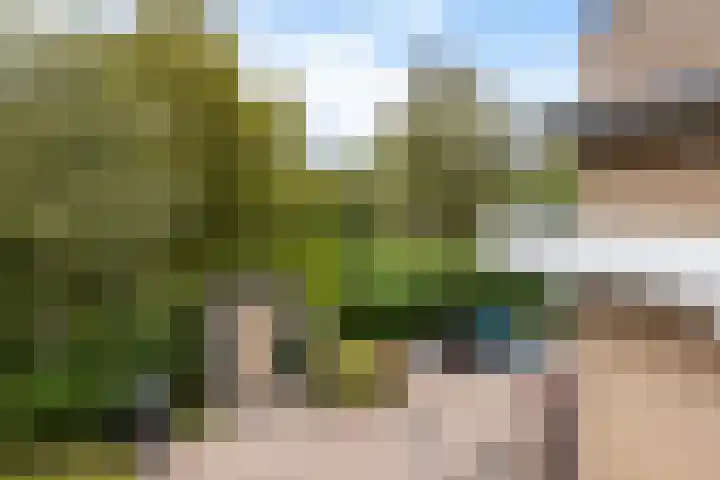 Catsveld 53 Gouda thumbnail 12