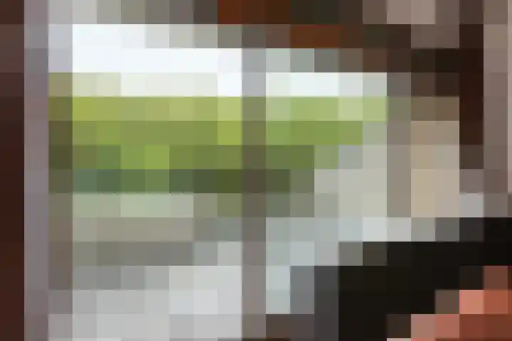 Catsveld 53 Gouda thumbnail 18