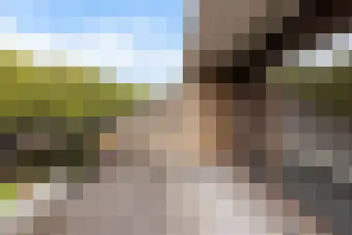 Catsveld 53 Gouda thumbnail 19