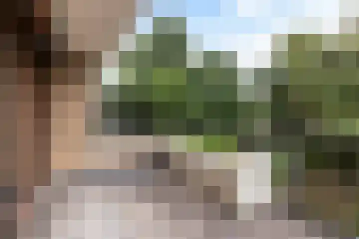 Catsveld 53 Gouda thumbnail 20