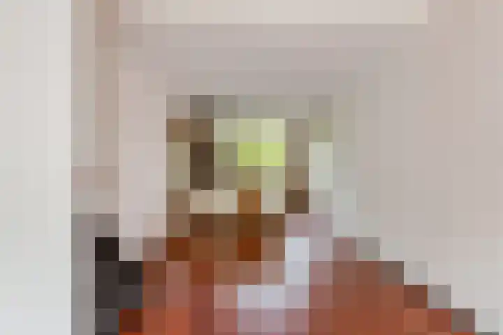 Catsveld 53 Gouda thumbnail 24