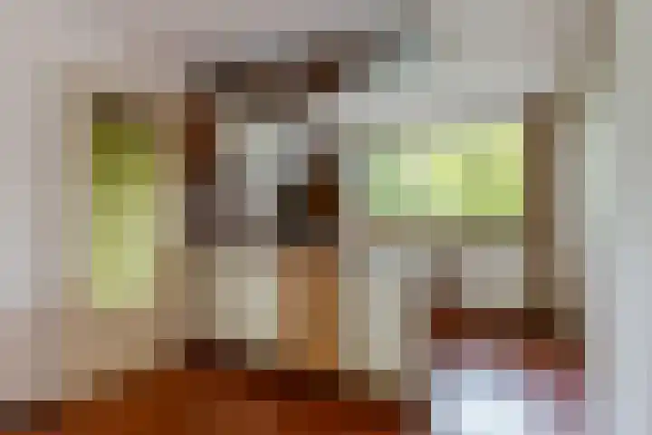 Catsveld 53 Gouda thumbnail 25