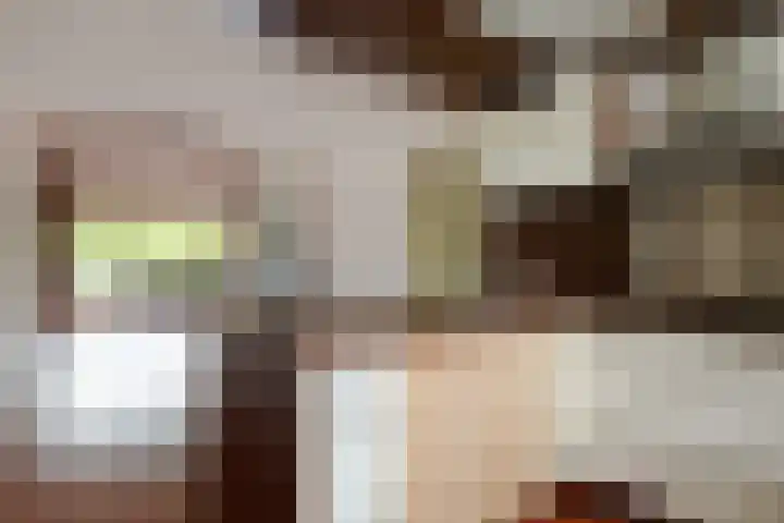 Catsveld 53 Gouda thumbnail 27