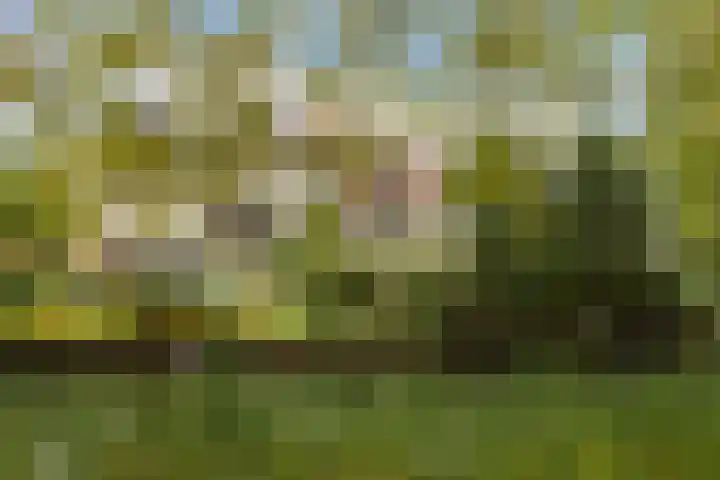 Catsveld 53 Gouda foto 3