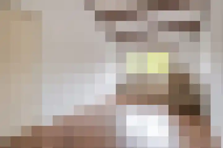 Catsveld 53 Gouda thumbnail 32