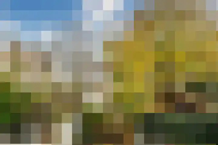 Catsveld 53 Gouda thumbnail 36