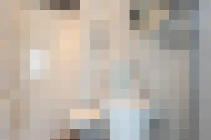 Catsveld 53 Gouda thumbnail 36