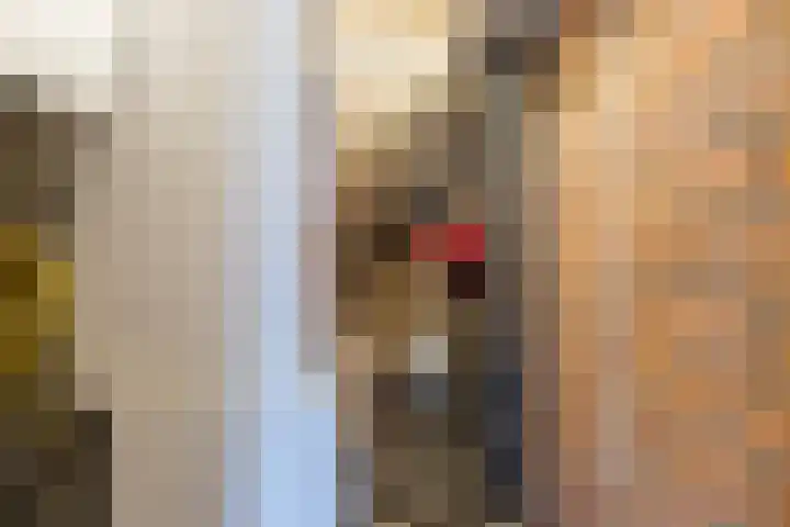 Catsveld 53 Gouda thumbnail 37