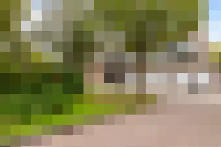 Catsveld 53 Gouda thumbnail 38