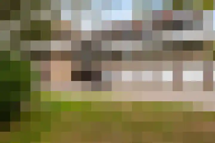Catsveld 53 Gouda thumbnail 39