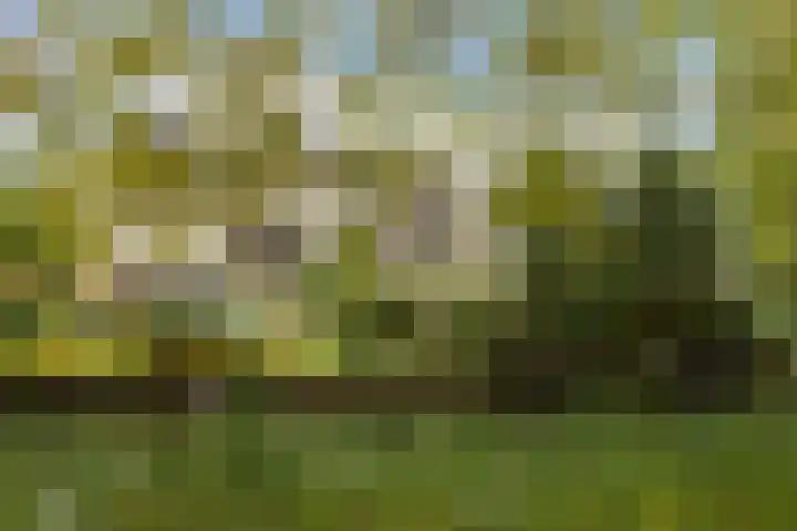 Catsveld 53 Gouda thumbnail 42