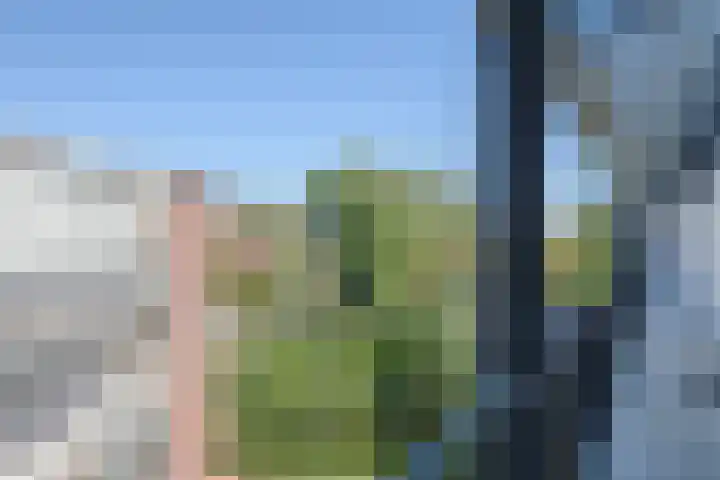 Catsveld 53 Gouda thumbnail 43