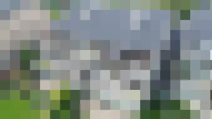 Catsveld 53 Gouda thumbnail 44