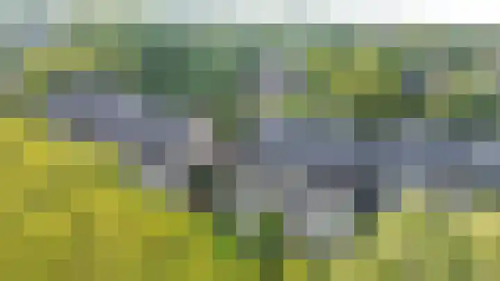 Catsveld 53 Gouda thumbnail 47