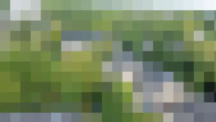 Catsveld 53 Gouda thumbnail 49