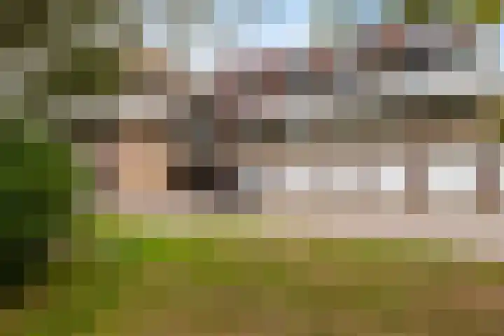Catsveld 53 Gouda thumbnail 5