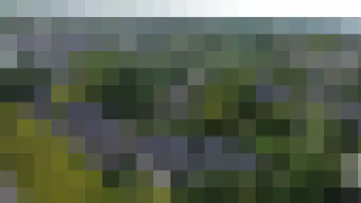 Catsveld 53 Gouda thumbnail 50