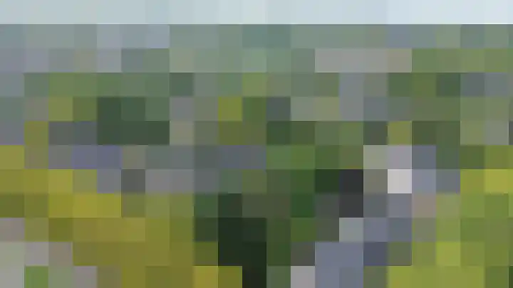 Catsveld 53 Gouda thumbnail 51