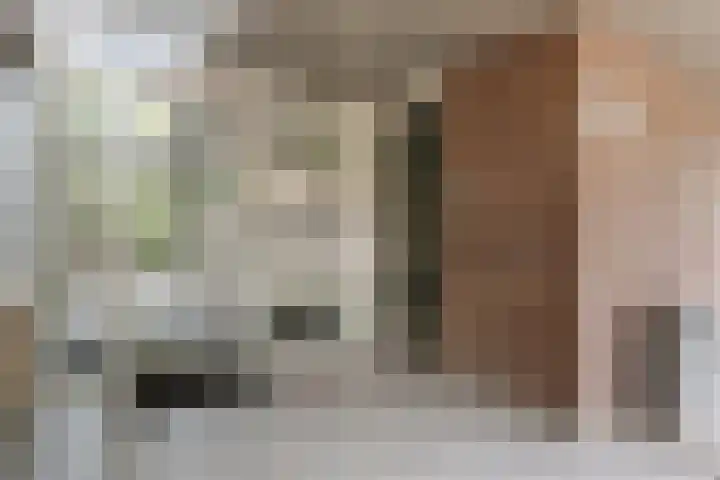 Catsveld 53 Gouda thumbnail 7