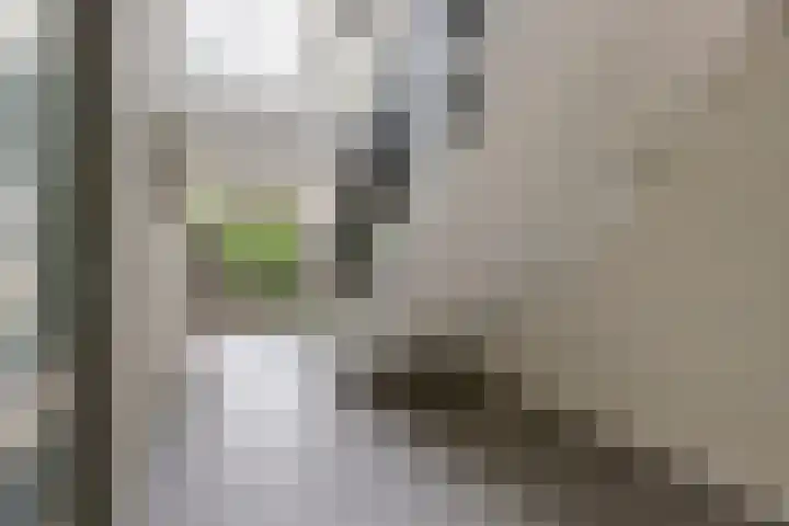 Catsveld 53 Gouda thumbnail 8