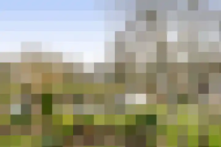Catsveld 56 Gouda thumbnail 11