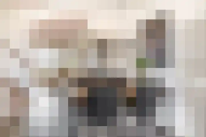 Catsveld 56 Gouda thumbnail 14