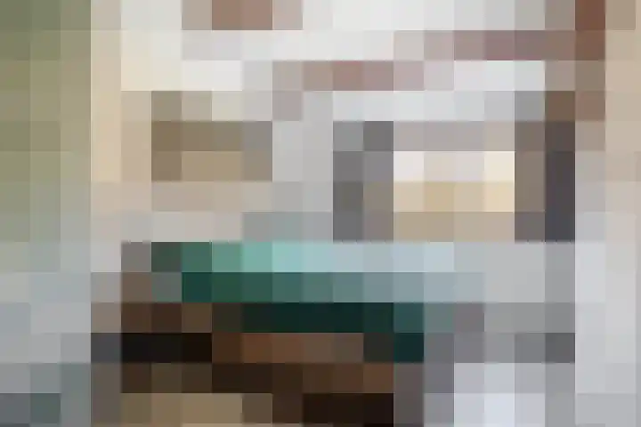 Catsveld 56 Gouda thumbnail 22