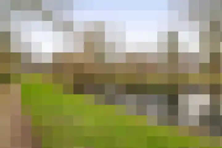 Catsveld 56 Gouda thumbnail 32