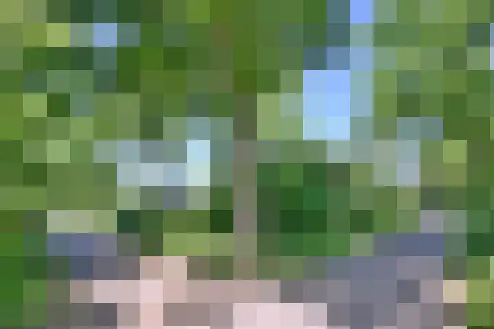 Catsveld 56 Gouda thumbnail 33