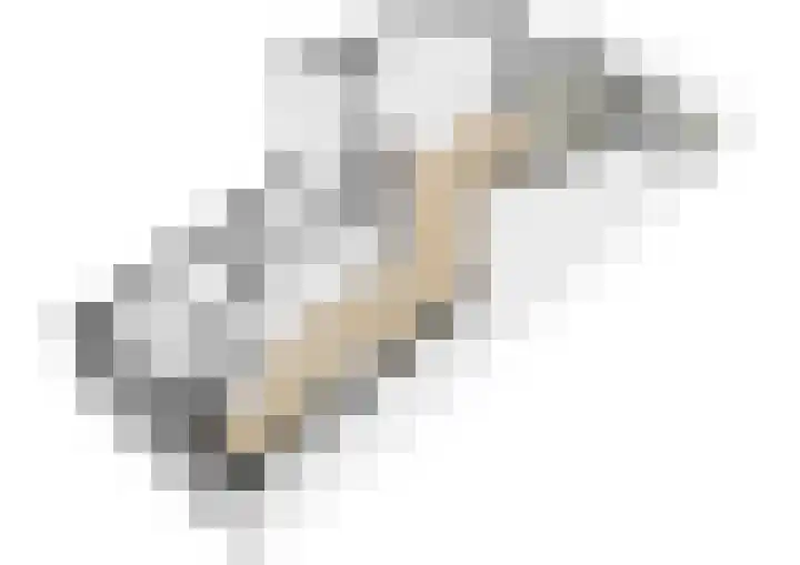Catsveld 56 Gouda thumbnail 34