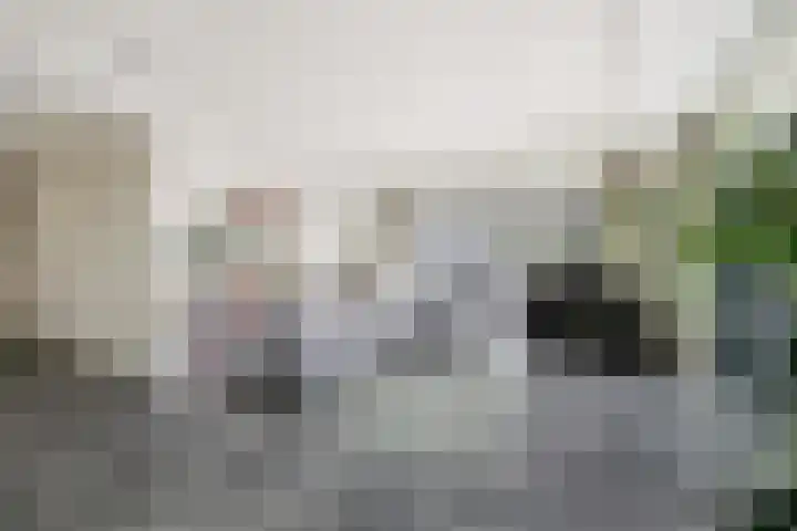 Catsveld 56 Gouda thumbnail 8