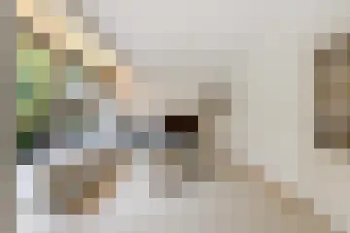 Catsveld 63 Gouda thumbnail 13