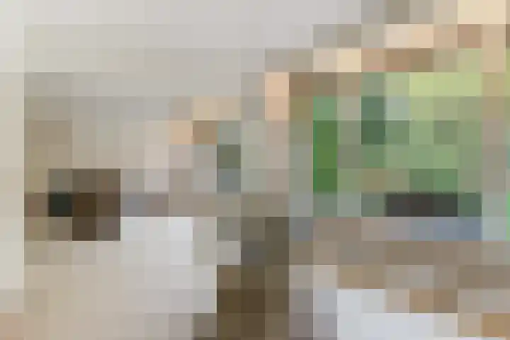 Catsveld 63 Gouda thumbnail 14