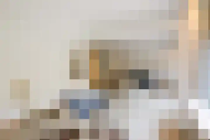 Catsveld 63 Gouda thumbnail 16
